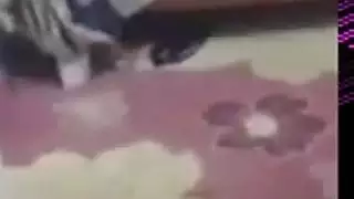 جنس متطرف: جميلة تركية في كل مشهد صعب