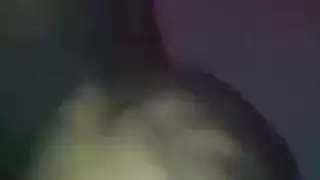 نحيف الديك الكبير كلاسيكي